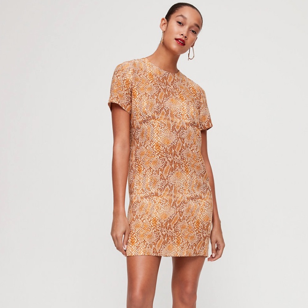 Aritzia Patricio Dress